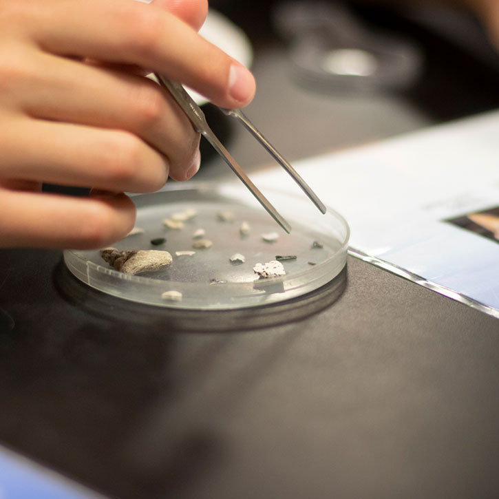 high school science